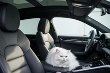 Load image into Gallery viewer, auto black foamback headlining