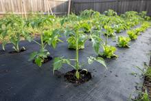 Load image into Gallery viewer, black nonwoven weedmat with plants
