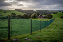 Load image into Gallery viewer, HDPE netting Green fence
